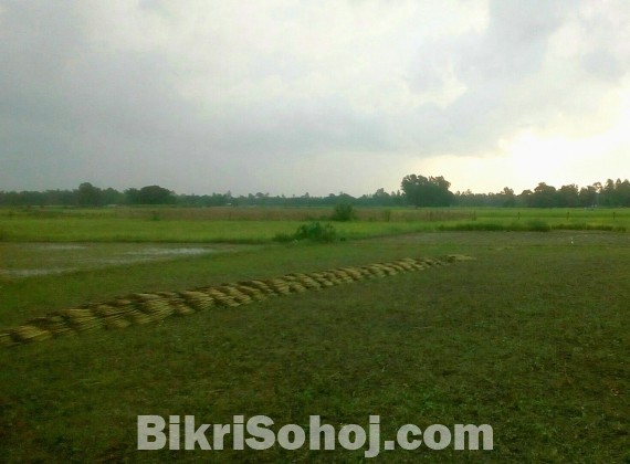 ঢাকার মানিকগঞ্জে ৫৯ কাঠা জমি বিক্রয়. 1Acre Land for sale.